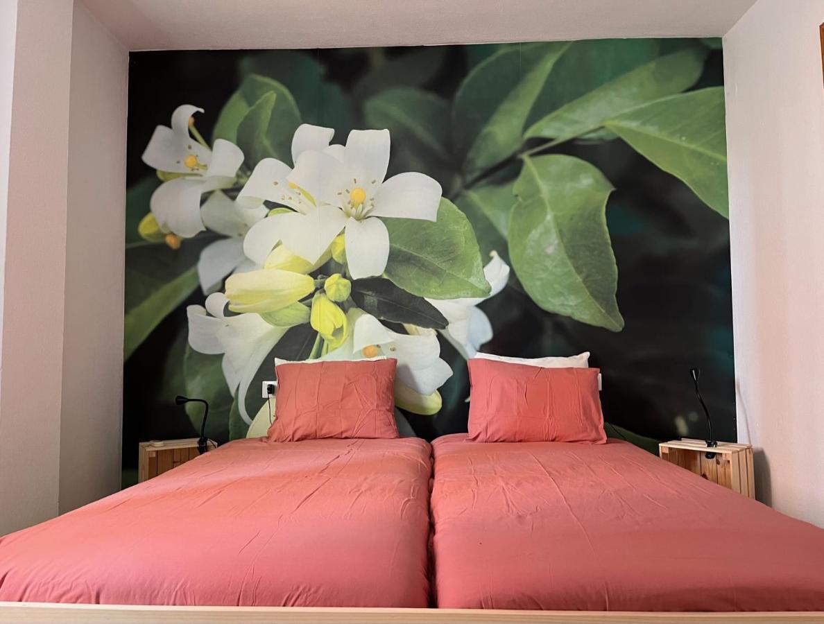 Apartamento La Biznaga マラガ エクステリア 写真