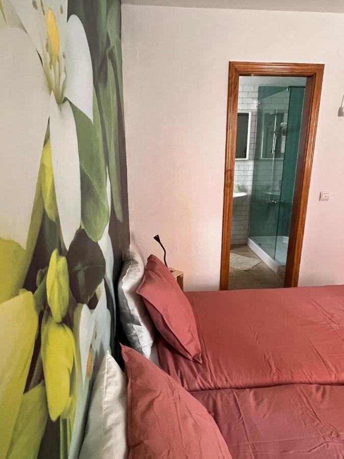 Apartamento La Biznaga マラガ エクステリア 写真
